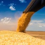 A Economia de Rondônia Potencial e Desafios de um Estado em Crescimento