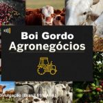 Agronegócios Preço negociado do Soja, milho, boi, algodão, café, trigo e arroz