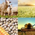 Cujubim - RO: Conhecendo sua História