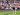 Liverpool Vence Primeiro Jogo Sem Jota em Tarde de Homenagens