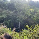 Nova Mamoré: Corpo de Criança Desaparecida é Encontrado