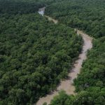 programacao-do-dia-da-amazonia-mobiliza-para-cop30