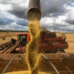 queda-no-preco-dos-alimentos-vai-permanecer,-diz-ministro
