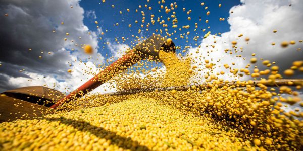 brasil-atinge-novo-recorde-com-350-milhoes-de-toneladas-de-graos