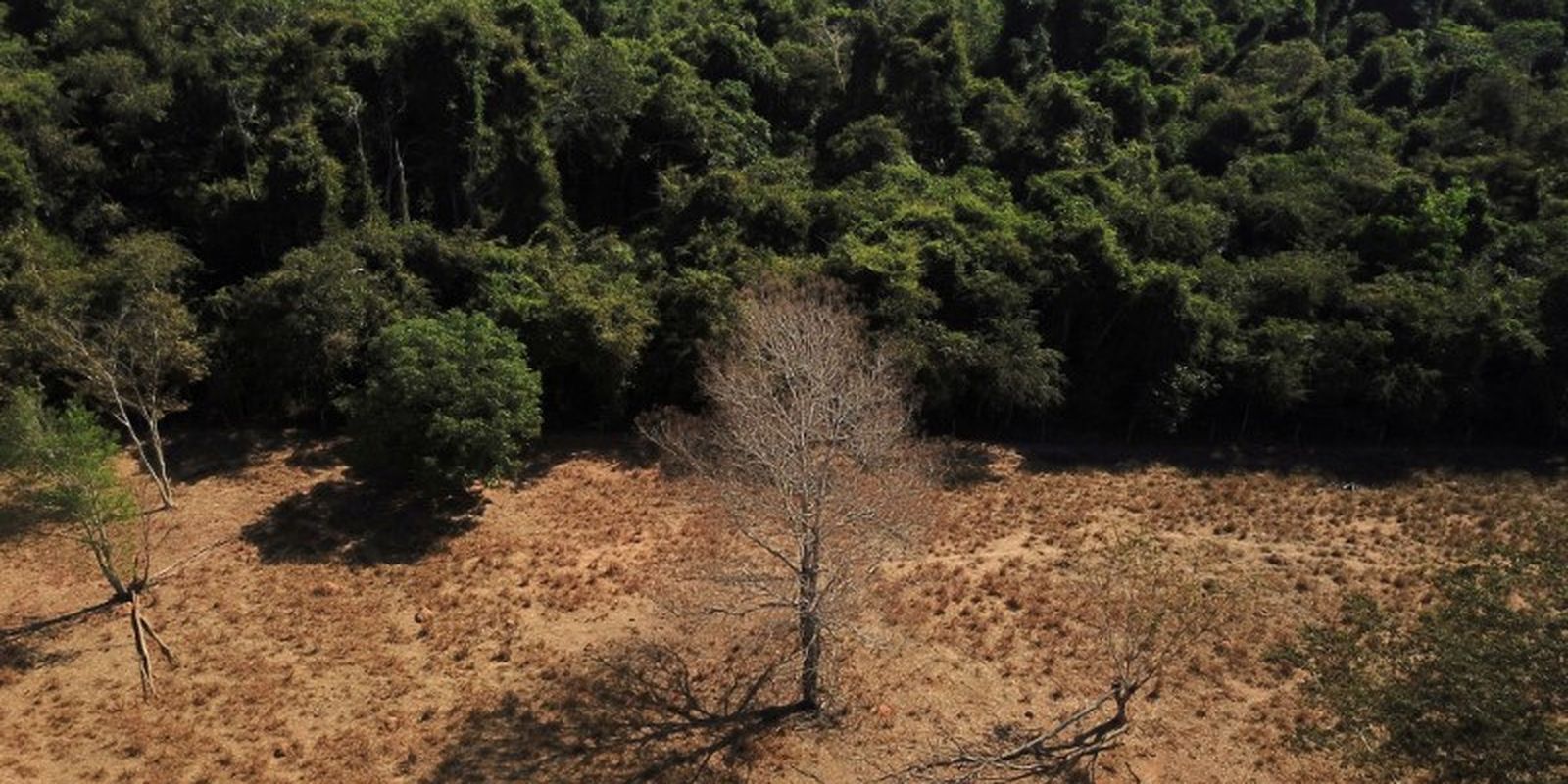 brasil-pode-suprir-demanda-por-bioenergia-sem-desmatar,-aponta-estudo