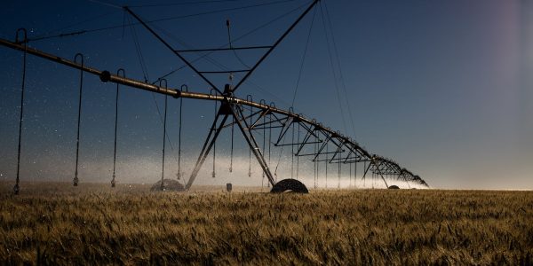 stf-retoma-julgamento-sobre-beneficios-fiscais-para-agrotoxicos