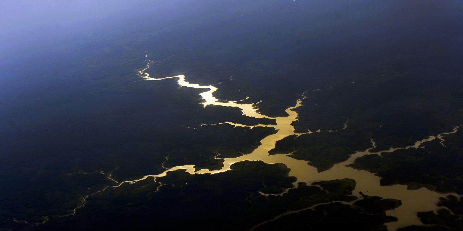 captura-de-carbono-na-amazonia-esta-em-risco,-diz-estudo