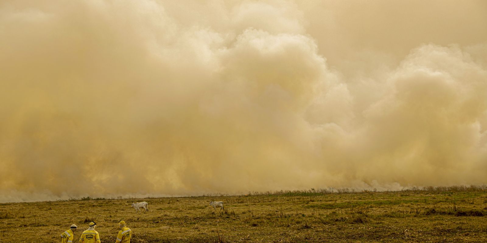calor-ja-mata-meio-milhao-de-pessoas-por-ano,-alertam-cientistas