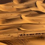 pesquisa-preve-mudancas-no-clima-do-deserto-do-saara-nos-proximos-anos