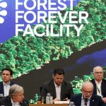 lula-lanca-em-belem-fundo-para-preservacao-de-florestas-tropicais