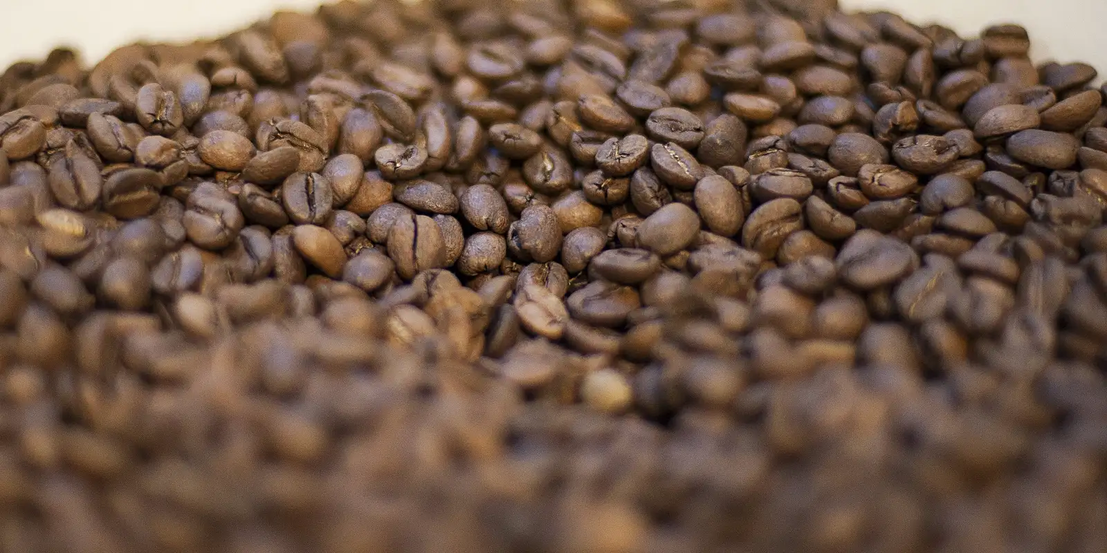 trump-diz-que-reduzira-tarifas-para-importacao-de-cafe