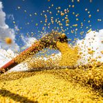 brasil-estima-colheita-de-354,8-milhoes-de-toneladas-de-graos