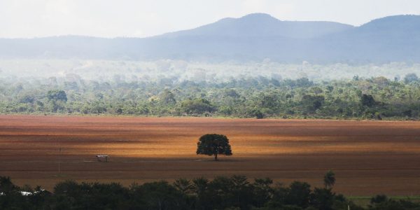 cop30:-governo-cobra-r$-476-milhoes-de-infratores-ambientais 