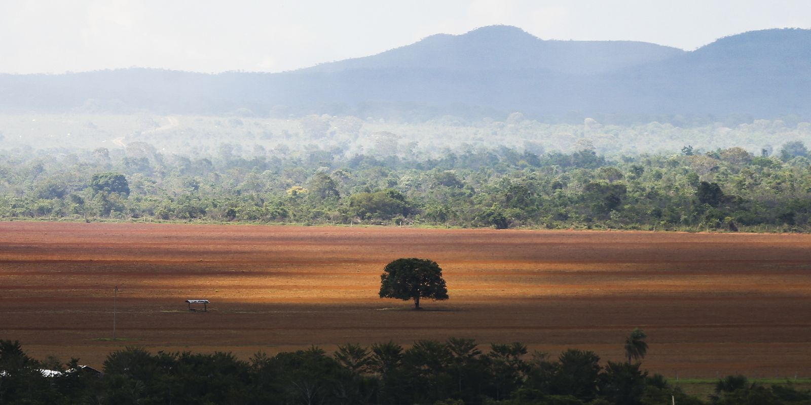 cop30:-governo-cobra-r$-476-milhoes-de-infratores-ambientais 