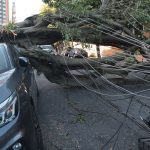 cinco-dias-apos-ciclone,-30-mil-clientes-estao-sem-energia-em-sp
