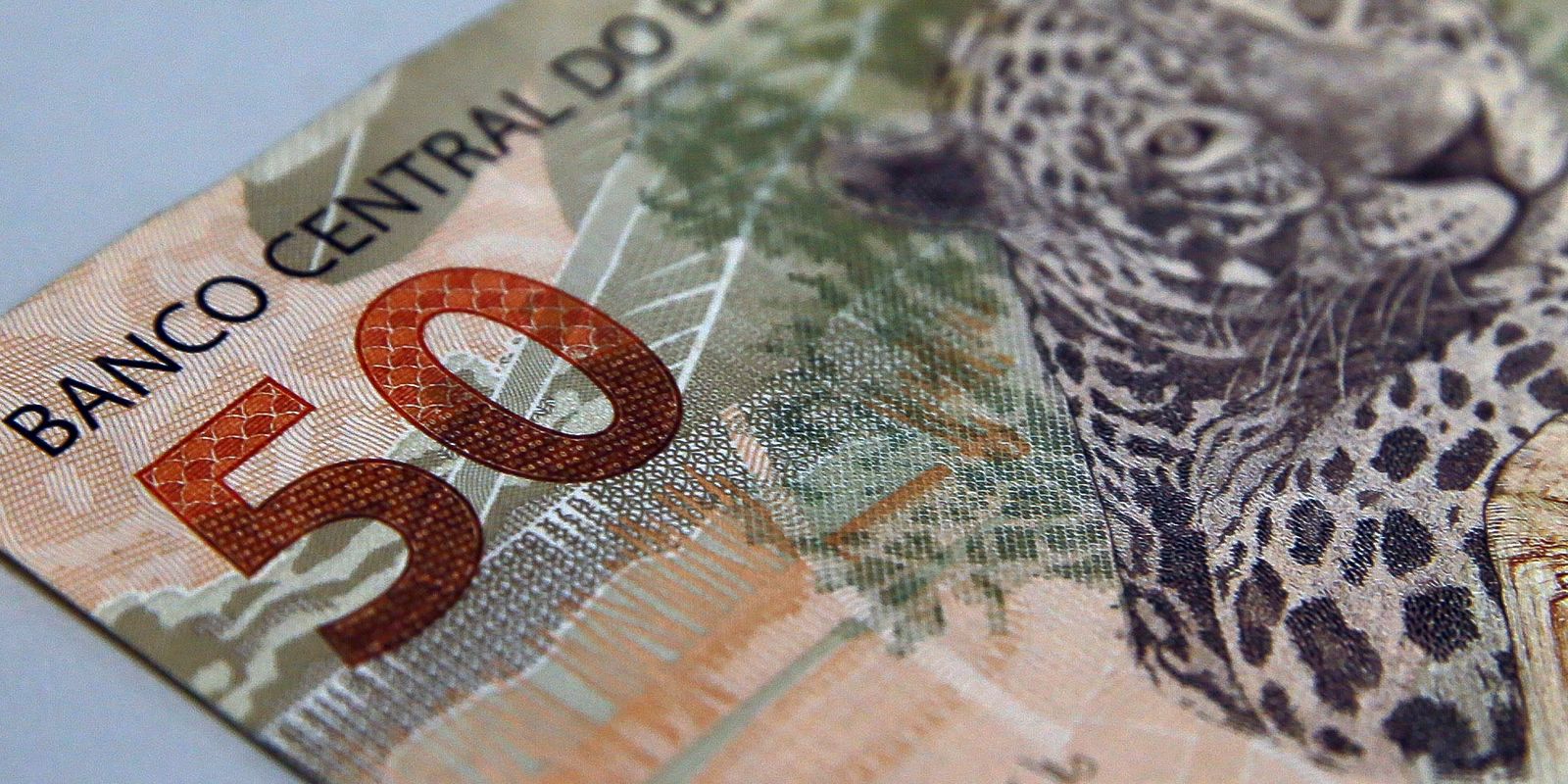 fundacoes-sem-fins-lucrativos-pagam-salarios-maiores-que-empresas
