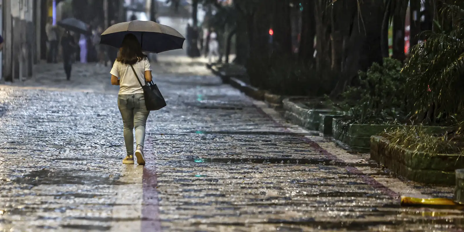 saiba-em-que-regioes-do-brasil-deve-chover-acima-da-media-no-verao