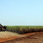 ibge-preve-safra-recorde-de-346-milhoes-de-toneladas-em-2025
