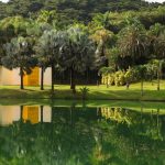 inhotim-vai-celebrar-20-anos-com-tres-novas-atracoes-no-2o-semestre