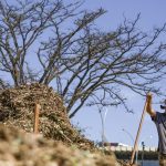 sistemas-agroecologicos-de-quatro-biomas-sao-criados-em-brasilia