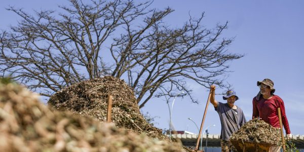 sistemas-agroecologicos-de-quatro-biomas-sao-criados-em-brasilia