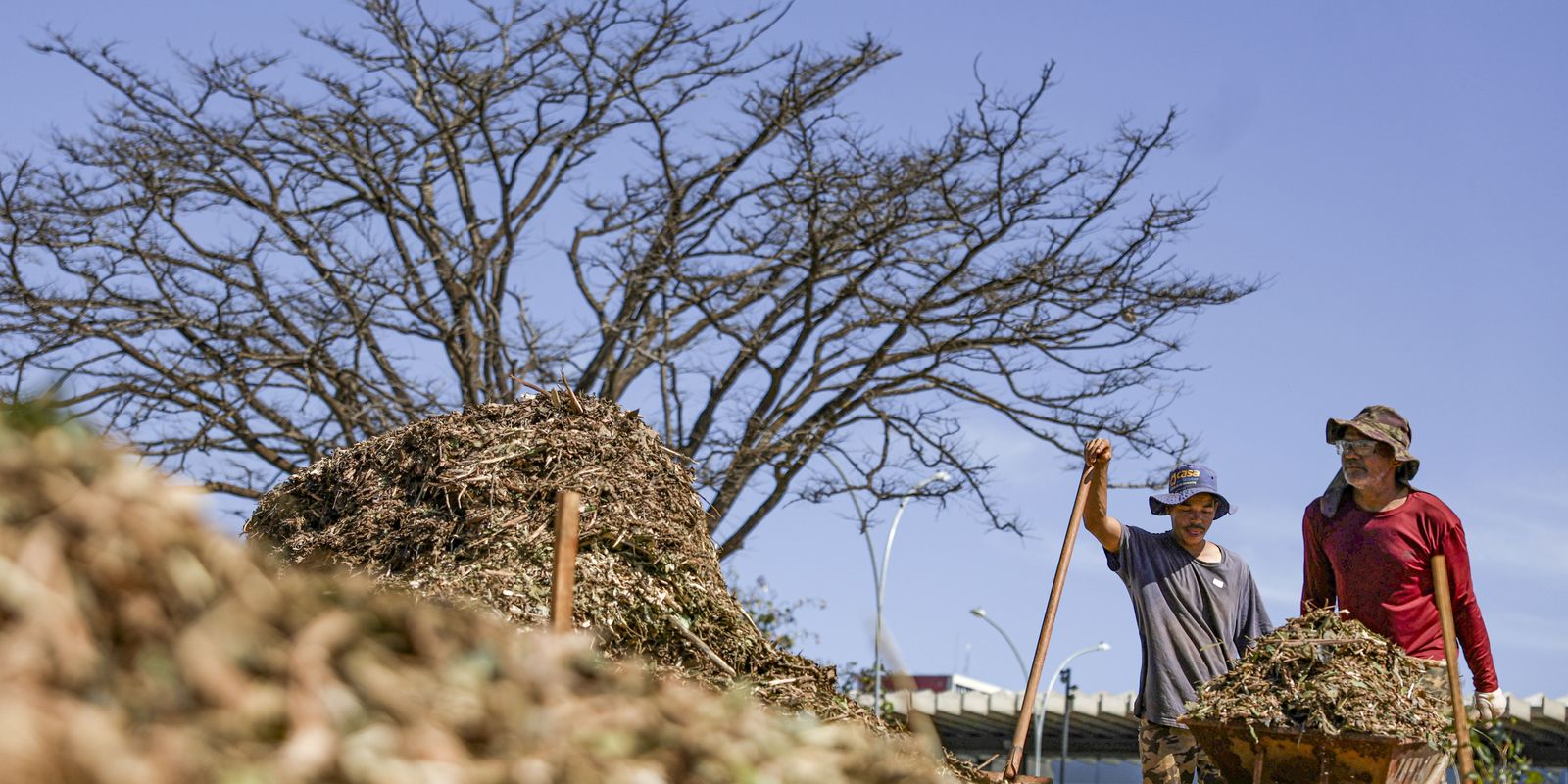 sistemas-agroecologicos-de-quatro-biomas-sao-criados-em-brasilia