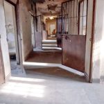 caminhos-da-reportagem-mostra-desafios-para-fechar-manicomios
