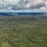adversaria-em-campo,-noruega-e-parceira-de-acoes-ambientais-do-brasil