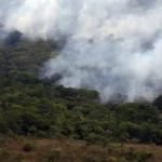 copernicus:-emissao-global-de-gases-por-incendios-e-a-menor-em-24-anos