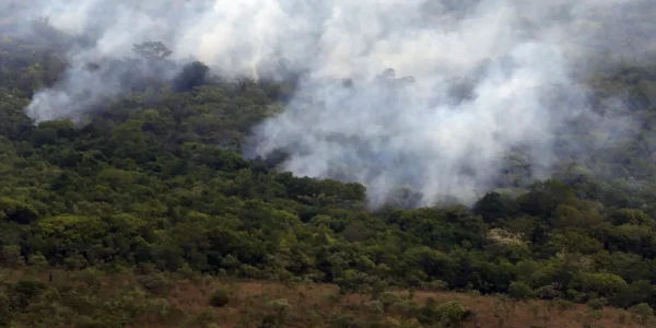 copernicus:-emissao-global-de-gases-por-incendios-e-a-menor-em-24-anos