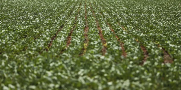 reuniao-com-bancada-do-agro-termina-sem-acordo-sobre-dividas-rurais