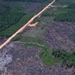 eco-invest-brasil-promove-quinto-leilao-para-financiar-inovacao